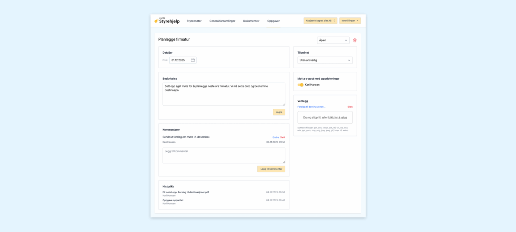 detaljer oppgaver styrehjelp